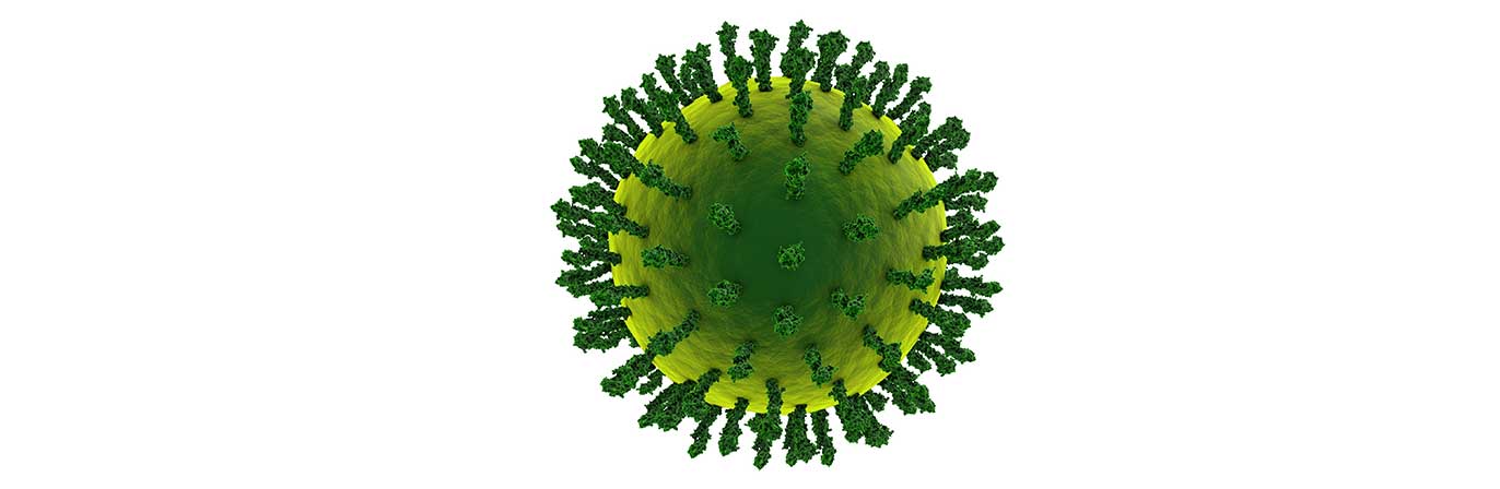 1274-influenza-virus
